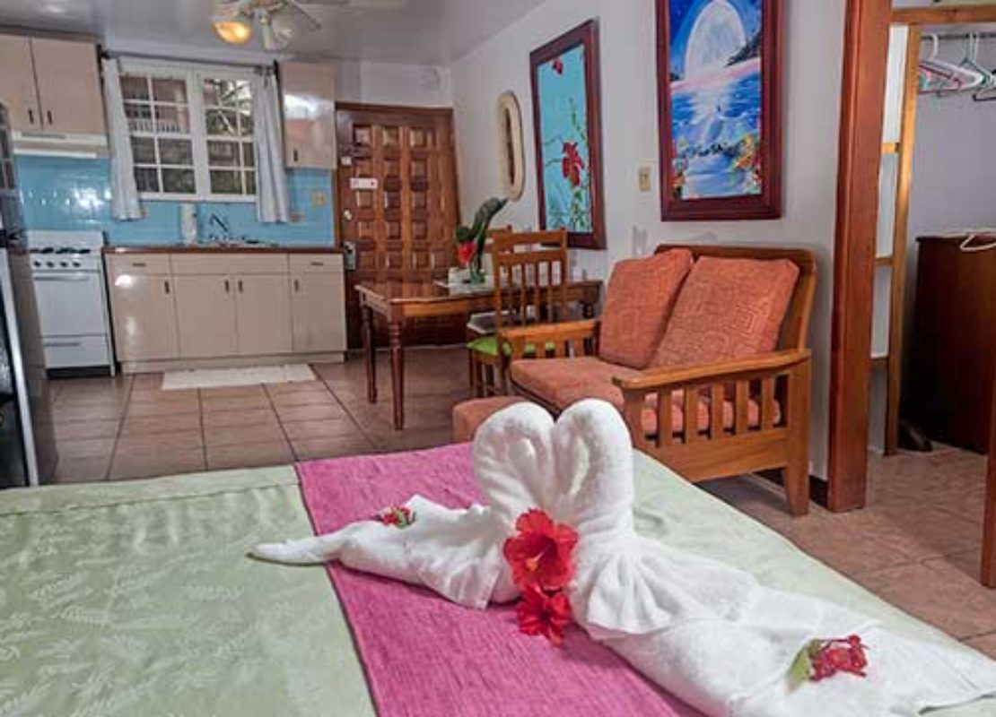 Bel Air Pool View Studio Suites – Miramar Suites Belize